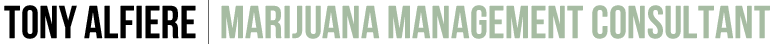 Tony Alfiere | Marijuana Management Consultant